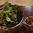 친환경로 | [산청] 대장금약선관 산청 / 옛정찬(석쇠한우불고기) 후기 / 전통 한옥의 품격, 산청 한식 맛집
