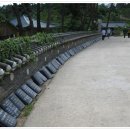 낙산의상대 이미지