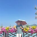 허니푸드 - 안산시 단원구 | 화성뱃놀이축제 다녀왔어요 허니푸드 푸드트럭 후기