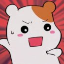 기장시장공영주차장 이미지