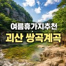 쌍곡자연산버섯 | 충북 여름 휴가지 추천 | 괴산 쌍곡계곡 수심 및 가족 물놀이 스폿
