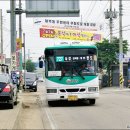 사강정형외과
