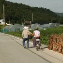 산계2리 이미지