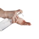 서구실내게이트볼장 이미지