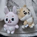 반짝반짝 쉐이커 키링 | 251221(일) 2025 DAY6 클콘 원필이랑 손하트하고 영원히 필프가 되🫶