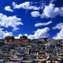 샹그릴라 이미지