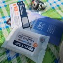 오늘DOG예쁨 | 2025년 김천김밥축제 다녀오다 (일요일 방문)