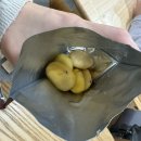 영약국 | 에코맘의 산골이유식 매장 롯데마트 잠실점 산골알밤 잠실 이유식
