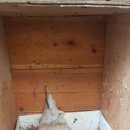 풀천지농장 이미지