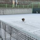 경산생활체육공원 이미지