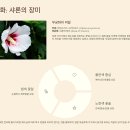 에벨의 아들 욕단 민족의 이동과 그들에게 주어진 마지막 사명은?(창10:21~31) Migration of the Joktan 이미지