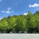 말나카페(Marna cafe) | [부산 기장] 대형카페/야외테라스카페 - 보몽드 카페(BEAUMONDE CAFE)