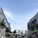 바람난 강아지 | 강아지랑 파주 헤이리마을 나들이! 한국근현대사박물관 후기