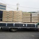 진관-031 이미지