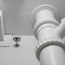 세영바이오 이미지