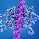 MIT의 새로운 CRISPR 기반 유전자 편집 기술로 암 돌연변이 연구 전환 이미지