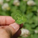 석사중산체육관 이미지