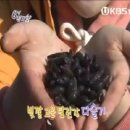 석진식당