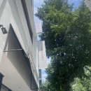 휴식한조각 | [광화문 카페] 따뜻한 라떼에 달콤한 초코바게트 한 조각, <레망도레 광화문점> 후기 🌱🍪