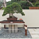 매화랜드 앞 이미지