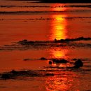 노을바다 이미지