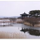 들성생태공원 이미지