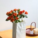 스테이 인룸