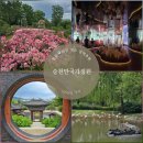 순천만그리고나 | 순천만국가정원 동문 서문 도보코스 찐만족 후기
