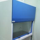 클린코리아(clean korea)