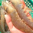 거북수산 - 동대문구 고산자로34길 41 | 거북수산