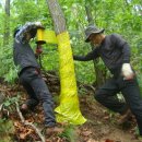 홍천국유림관리소 이미지