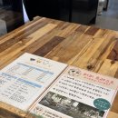 퍼피포레스트 이미지