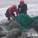 바다 - 기장군 이천길 21 | 바다