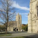 (주) 연안약품 이미지