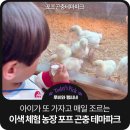 꼭 추가하세요! 달팽이집 만들기, 동물 먹이주기 까지...이색 데이트 이색체험 포프곤충테마파크 솔직후기
