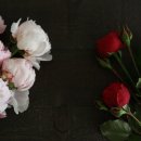 엠앤제이 이미지