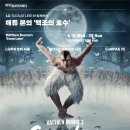 소극장 공유 (구.키작은 소나무) 티스토리