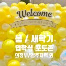 옐로우플라워 | 🌼 옐로우 플라워 풍선 포토존 설치 후기 | 행사·입학식·환영식 추천