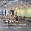 호수로 | 은계호수 고양이카페 추천 | 호수로 간 고양이