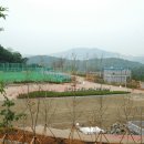 남동98 Daum카페