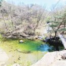 포시즌밸리계곡애견펜션 이미지