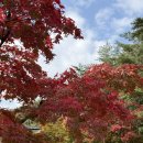 무릉회관 | 동해 두타산 맛집 가을 등산 말고 밥먹으러 무릉회관