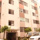 사파동310 이미지