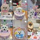 댕냥이 점빵 이미지