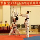 스카이 태권도 이미지