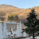 마지공간 | 용인 마지모우 카페 방문 후기｜주말에 가기 좋은 용인 카페 추천