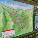 잣향기푸른숲 유아숲체험원 | 아이도 어른도 만족하는 가평 잣향기푸른숲 가평숲길 아이랑산책 가평유아숲체험원 숲의약속 예약