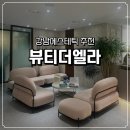 엘라포레스트더강남 | 강남에스테틱 뷰티더엘라 페이스 관리 후기｜강남피부관리로 유명한 곳