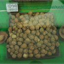 귀족호도 이미지