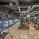 바디플레이스 이미지